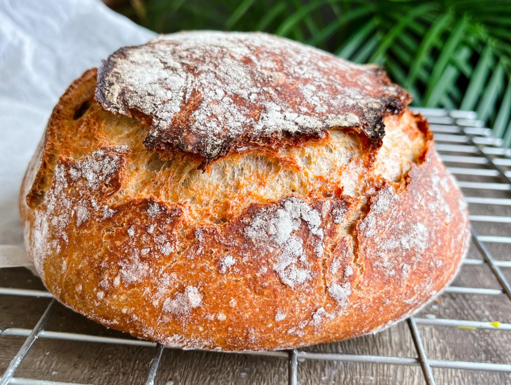 verdens beste brød eltefritt hjemmebakt oppskrift enkel