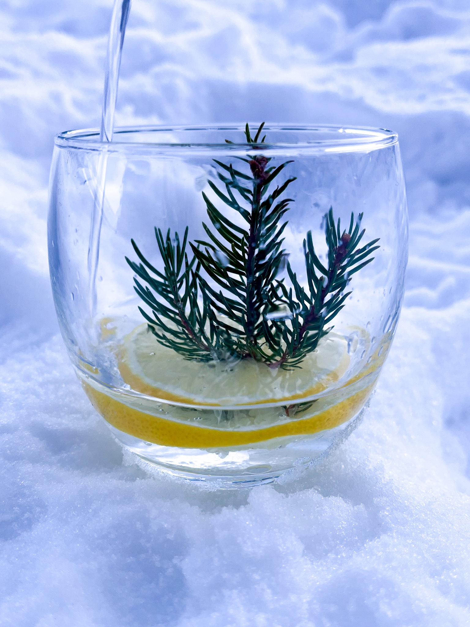 vinterdrink nyttår jul gin oppskrift GT