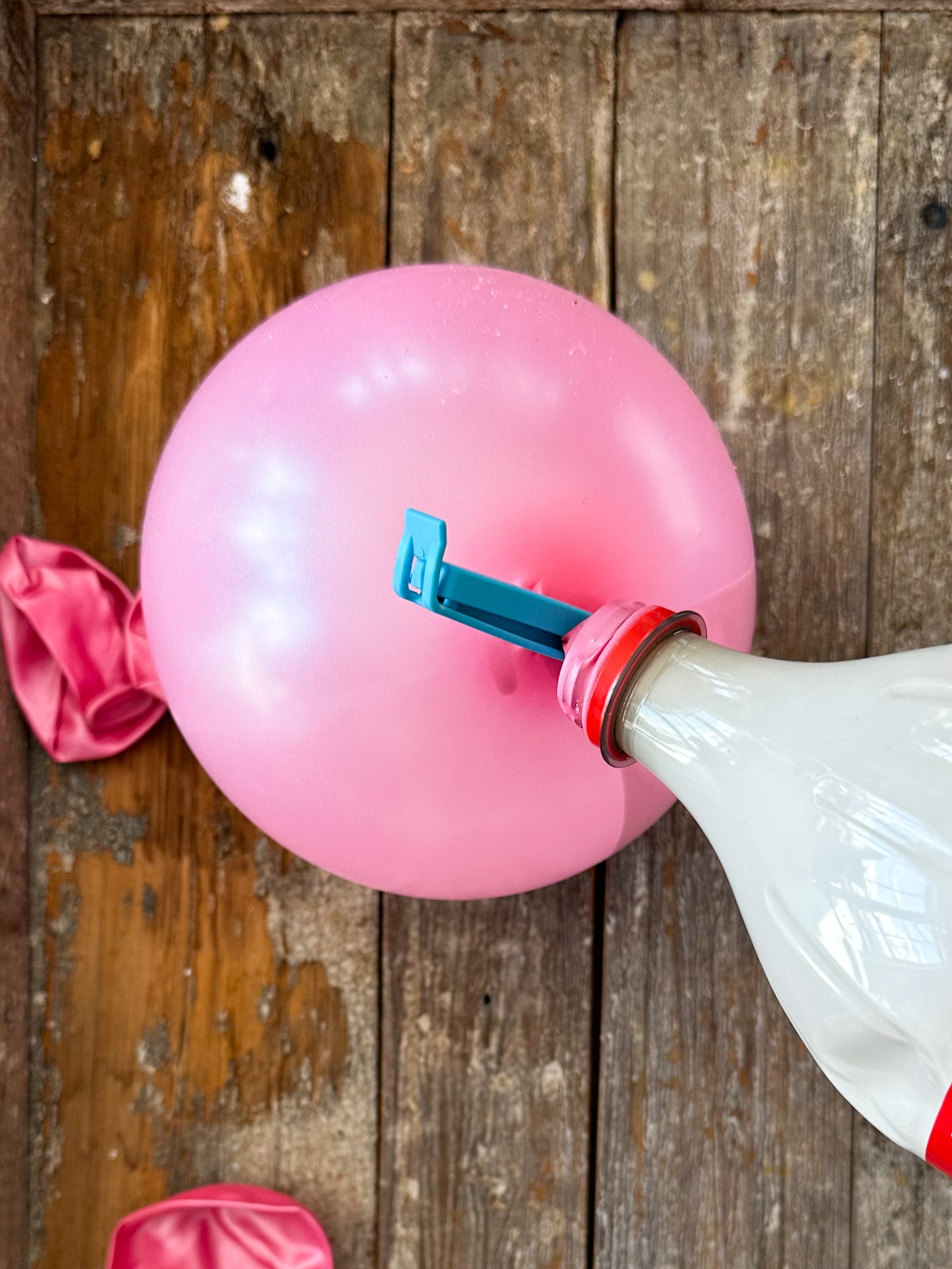 Gipsegg påske DIY stort