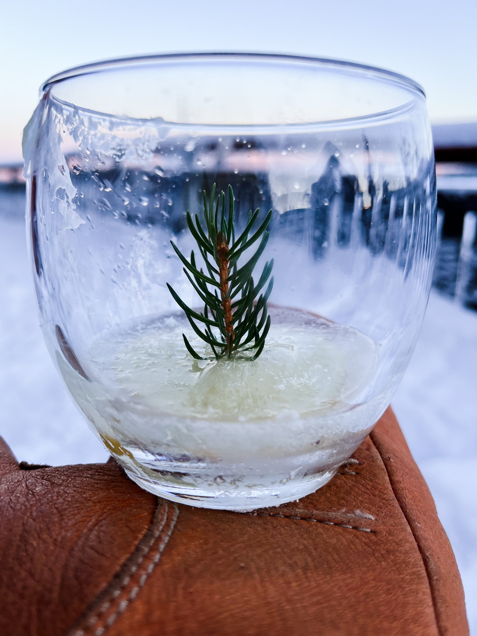 GT oppskrift vinterdrink