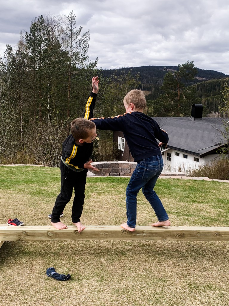 brytestang i hagen. hageaktivitet for barn