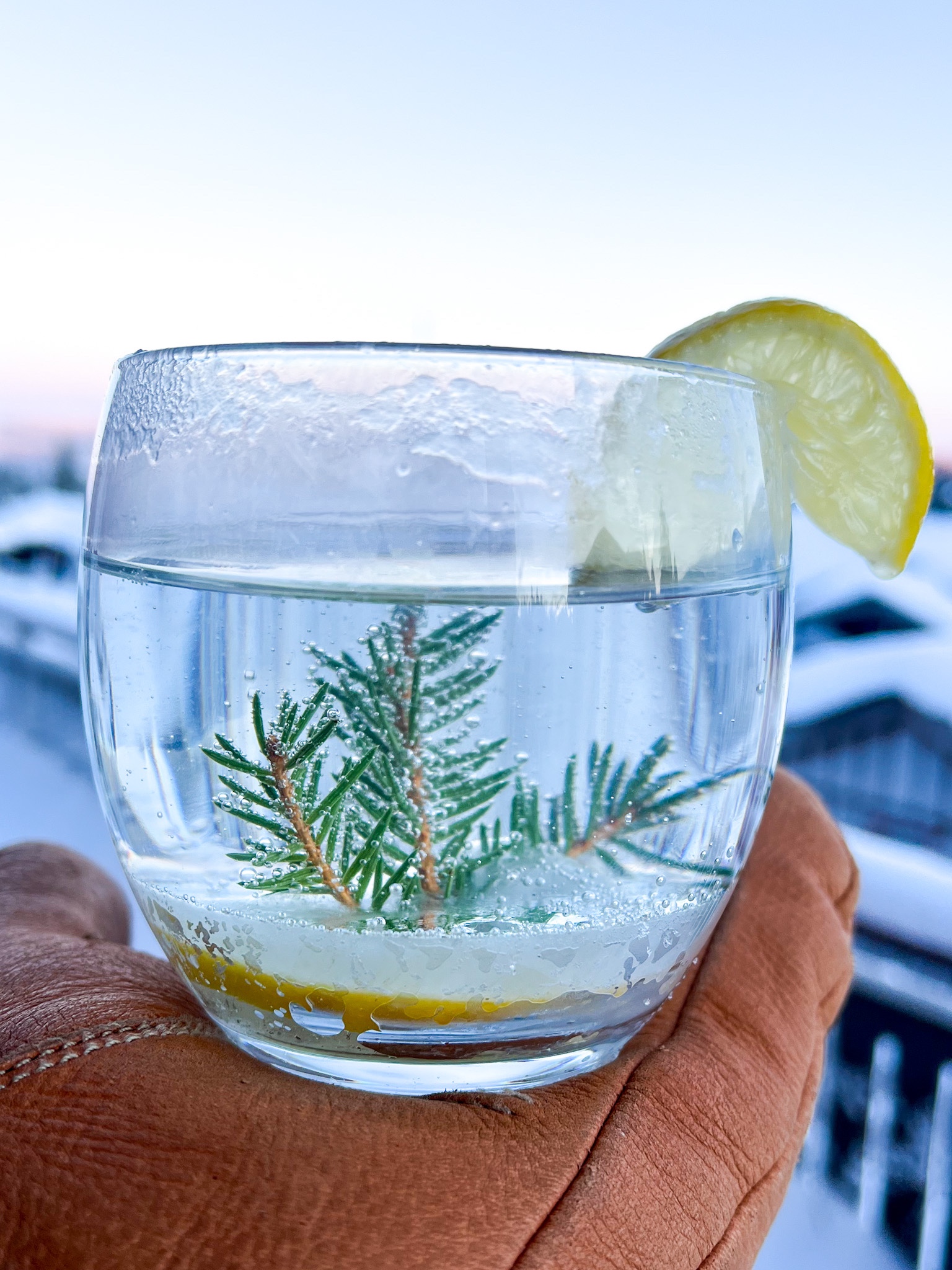 vinterdrink nyttår jul gin oppskrift GT