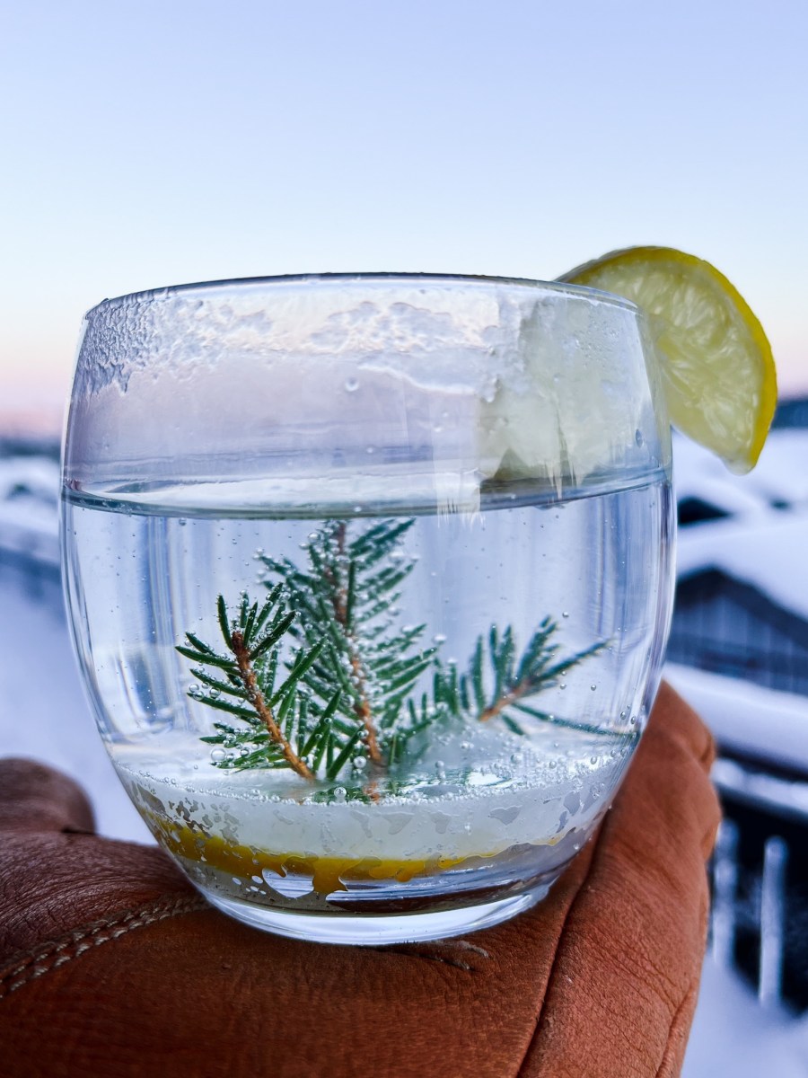 Gin Tonic Juledrink